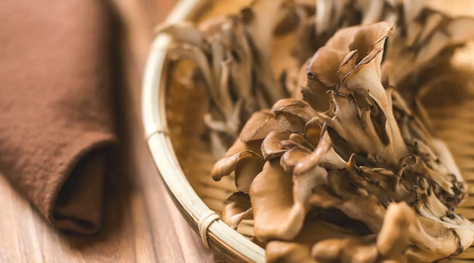 The Best Methods for Cleaning Maitake Mushrooms Without Losing Flavor