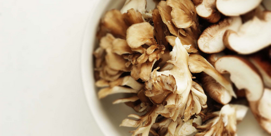 The Effects of Maitake Mushrooms on Liver Damage