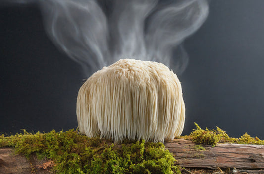 Effects of Lion's Mane Mushroom on Brain Fog