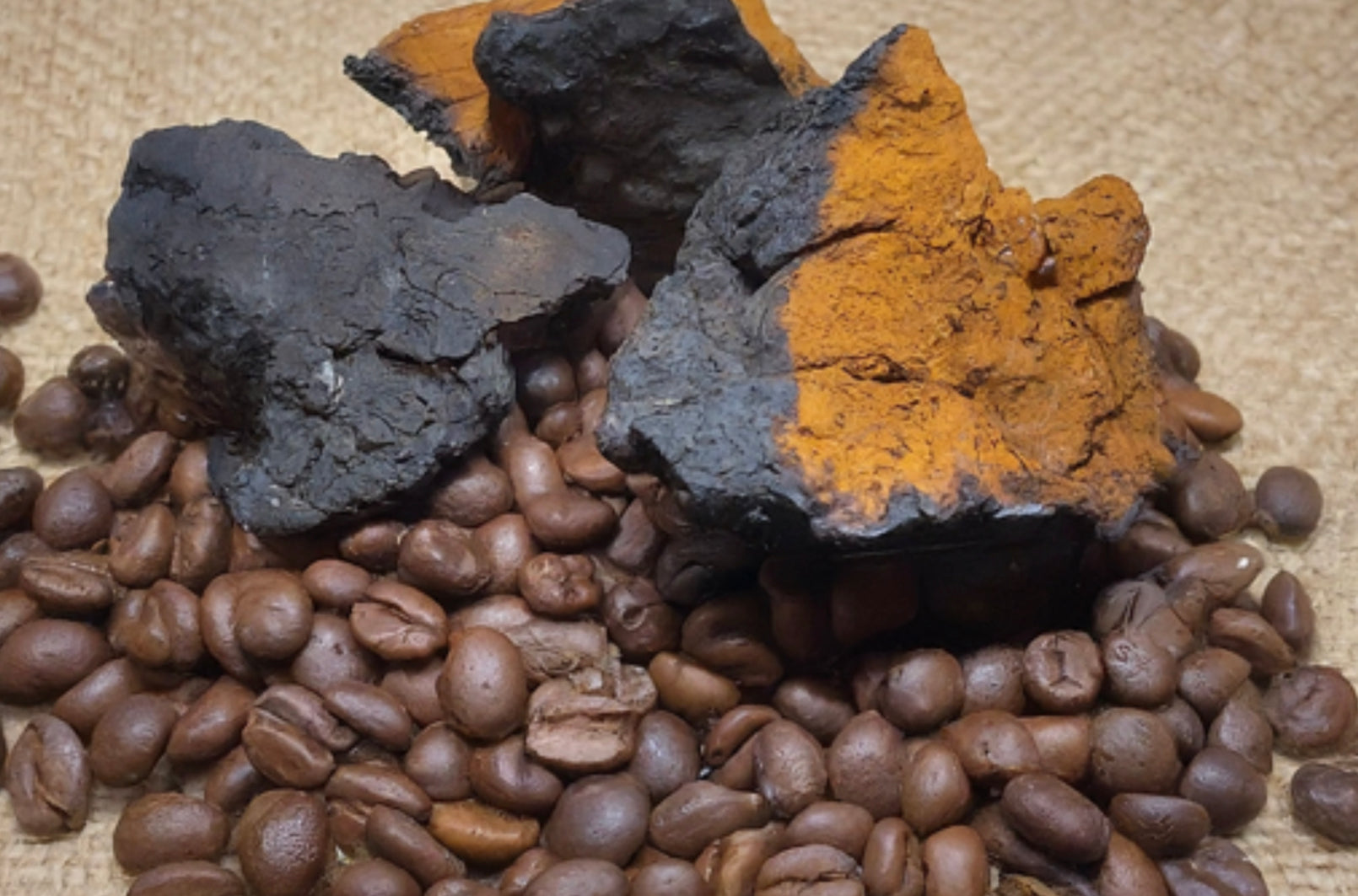 Deep Dive Into Chaga Mushroom Coffee – Brewing Up Benefits or Just Hype ...