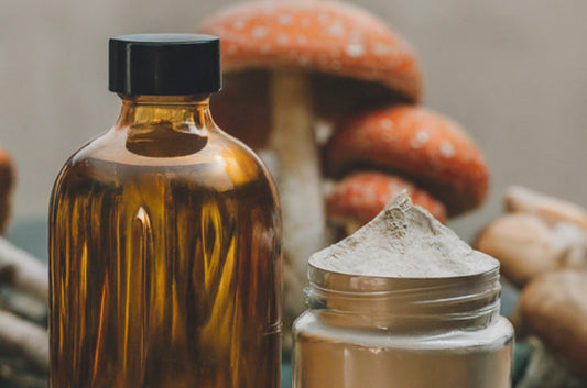 Medicinal Mushroom Extracts: Tinctures vs Powders