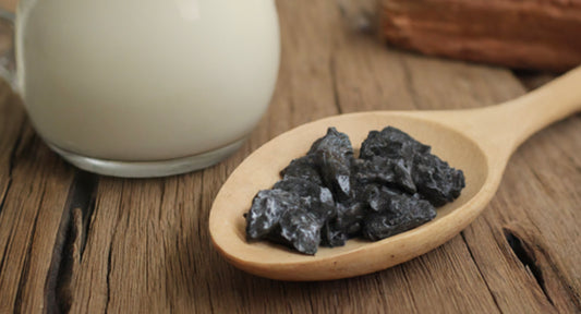 From Ancient Wisdom: How to Take Shilajit with Milk Effectively